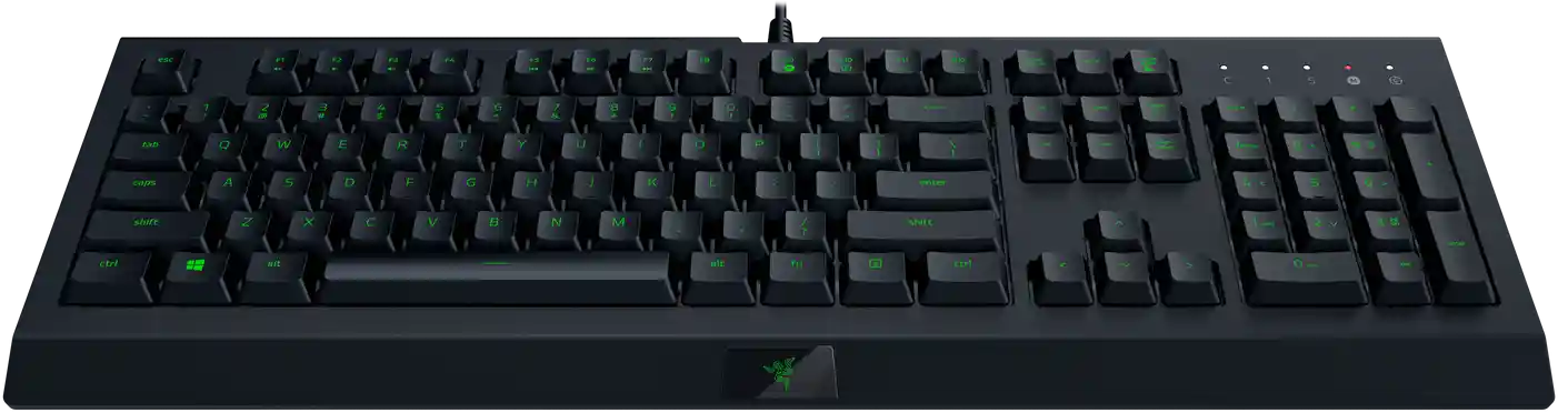 Клавиатура игровая RAZER Cynosa Lite (RZ03-02741500-R3R1)