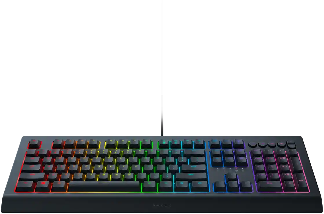 Клавиатура игровая RAZER Cynosa V2 (RZ03-03400700-R3R1)