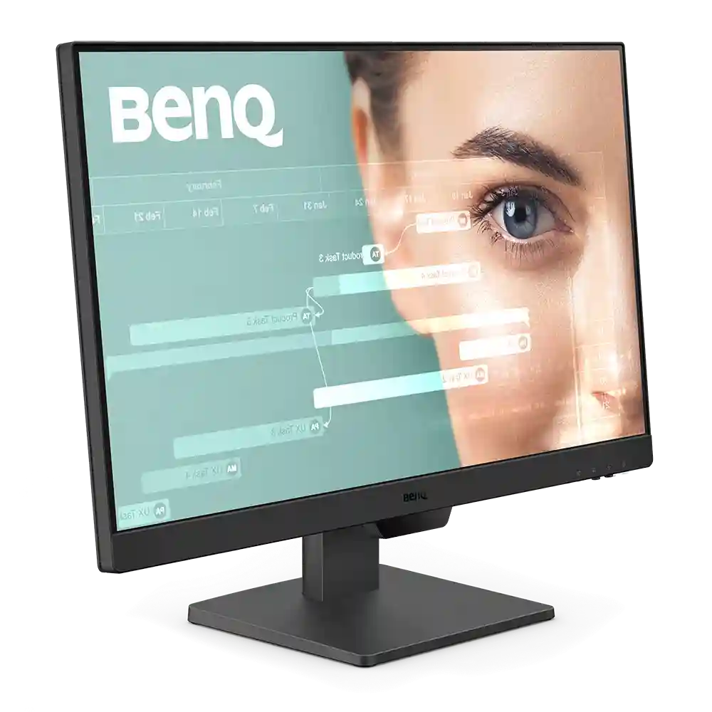 Монитор BENQ GW2490E 23.8" (GW2490E)