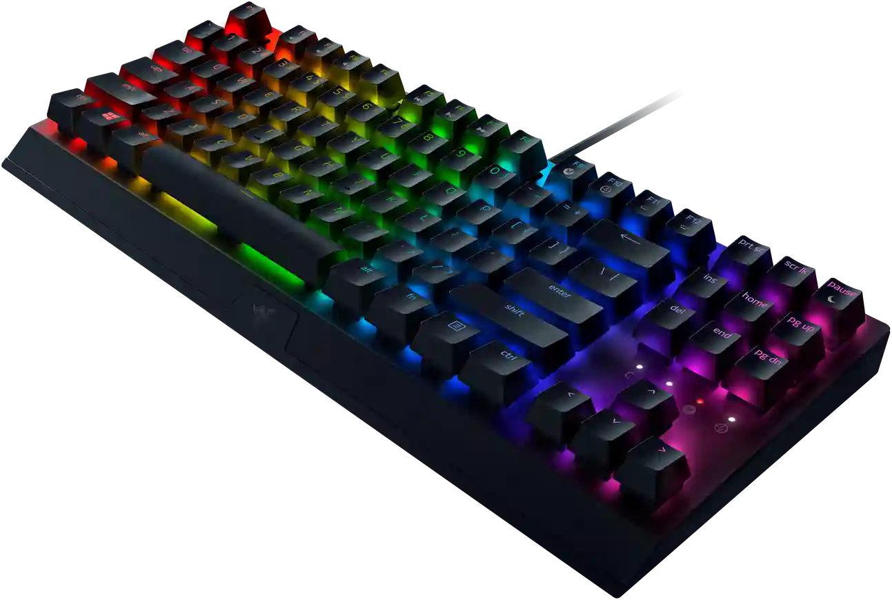 Клавиатура игровая RAZER Blackwidow V3 TKL (RZ03-03490700-R3R1)