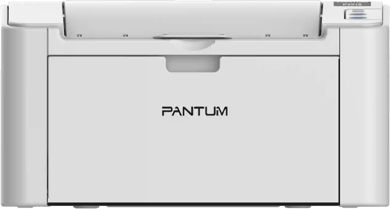 Принтер лазерный PANTUM P2518 (P2518) PI