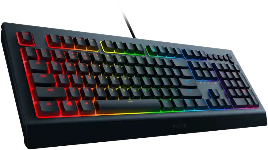 Клавиатура игровая RAZER Cynosa V2 (RZ03-03400700-R3R1)