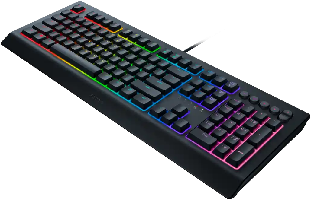 Клавиатура игровая RAZER Cynosa V2 (RZ03-03400700-R3R1)