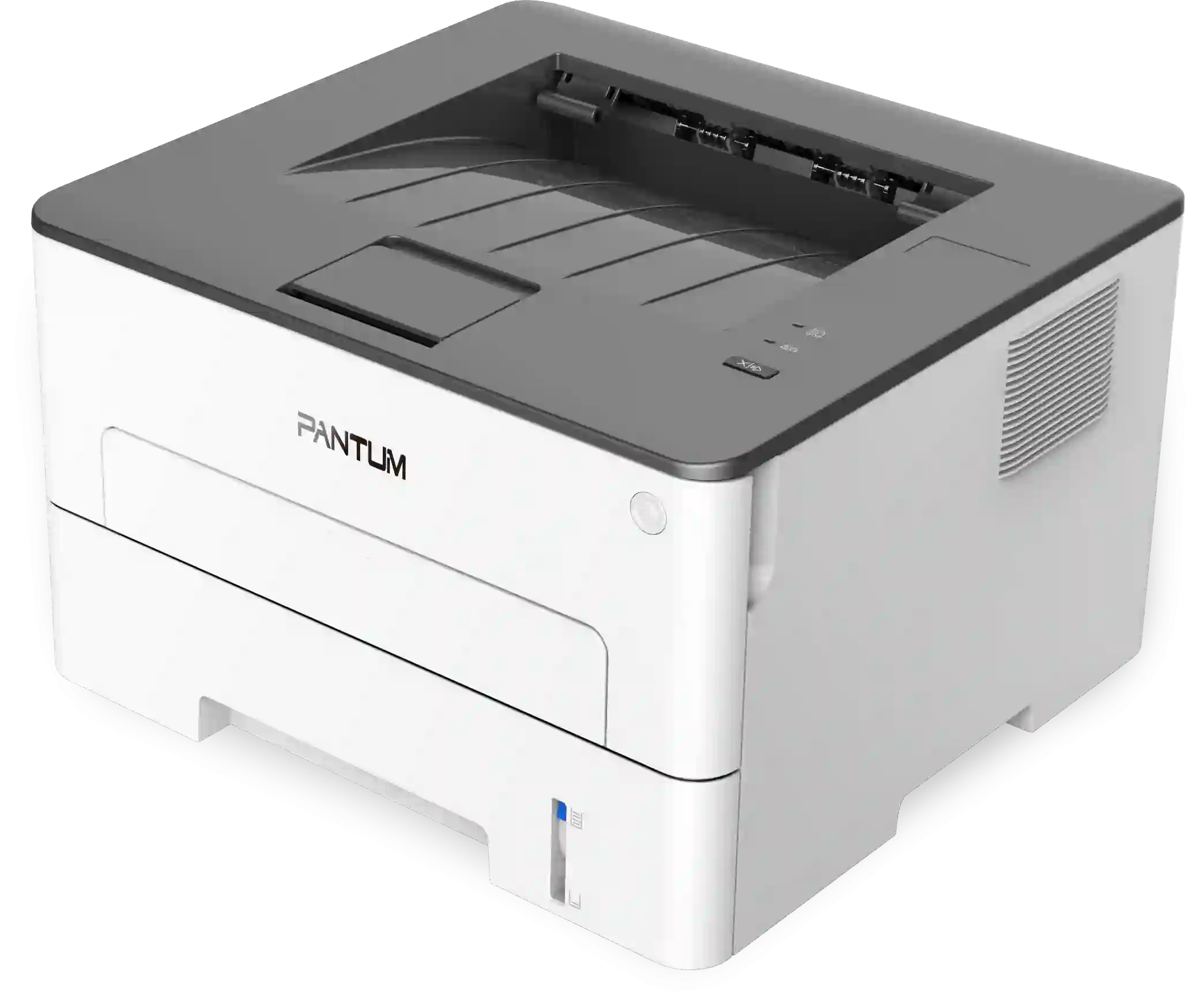 Принтер лазерный PANTUM P3010D (P3010D) PI
