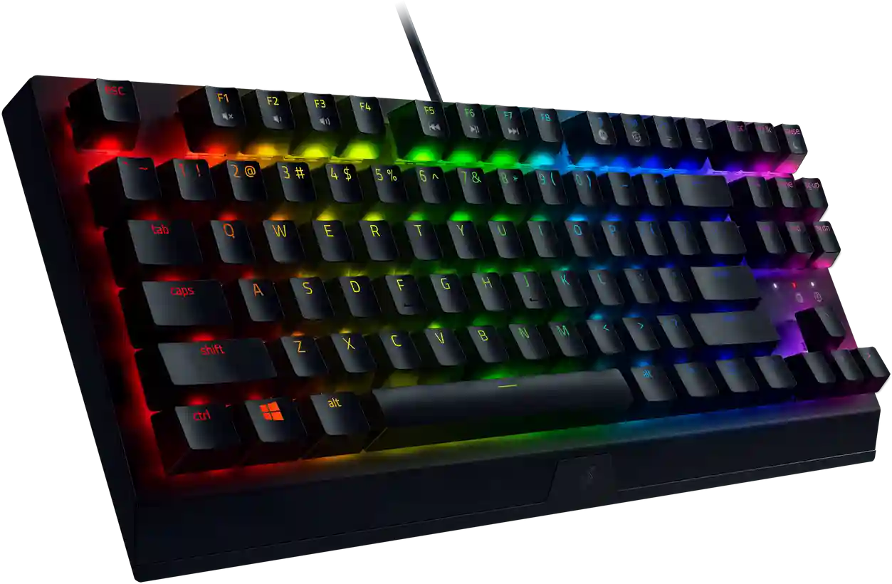 Клавиатура игровая RAZER Blackwidow V3 TKL (RZ03-03490700-R3R1)